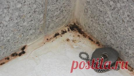 Черная плесень оккупировала ванную ......