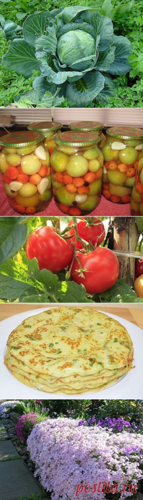 Дачный советник