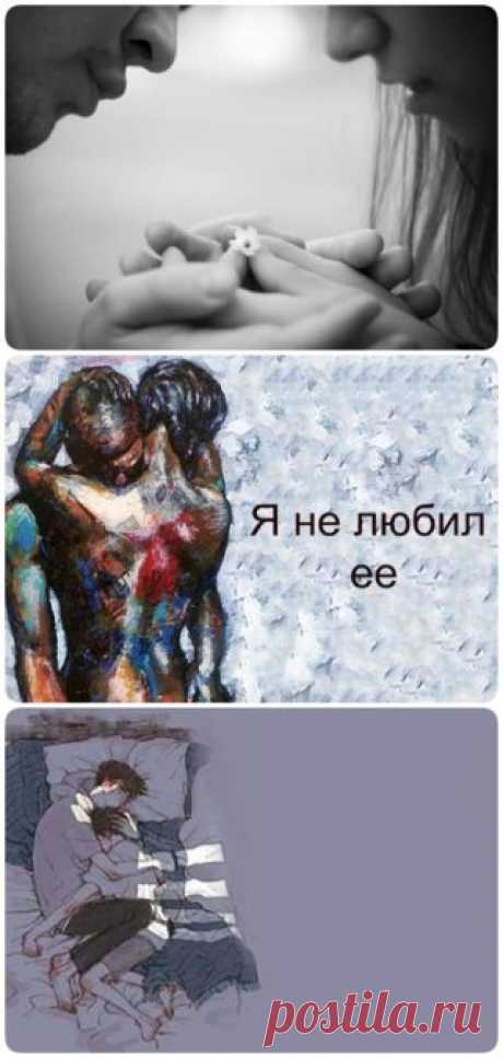 Я НЕ ЛЮБИЛ ЕЁ…