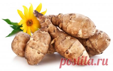 Астра инков — 6 соток