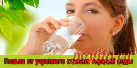 Польза от утреннего стакана горячей воды - Полезные советы Стакан чистой, теплой воды с утра, подготавливает наш желудочно-кишечный тракт к работе. Ночью на стенках ЖКТ оседают отходы пищеварения, токсины и шлаки. Горячая вода помогает нашему организму очиститься от всего лишнего. К тому же, с утра это усиливает слабительный эффект, что...