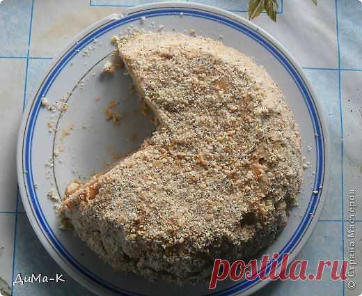 Самый ленивый муравейник