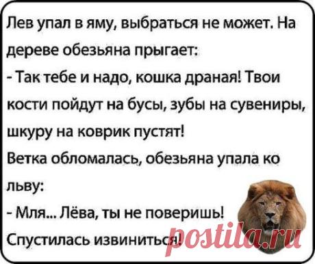 (1) Одноклассники
