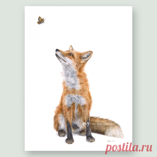 Fluttering Heights - Red Fox wildlife art print by pencil artist Angie Buy limited edition prints and original wildlife art by pencil artist Angie, including beautiful Fox portrait 'Fluttering Heights'. Secure online ordering.