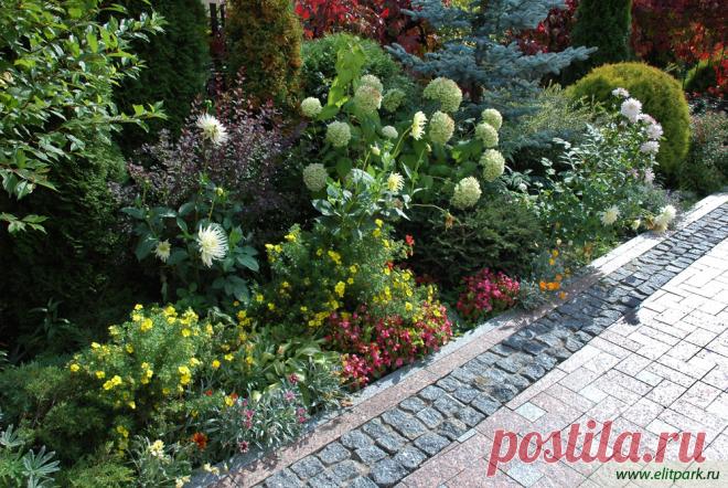 КРАСИВАЯ КЛУМБА ИЗ МНОГОЛЕТНИКОВ...