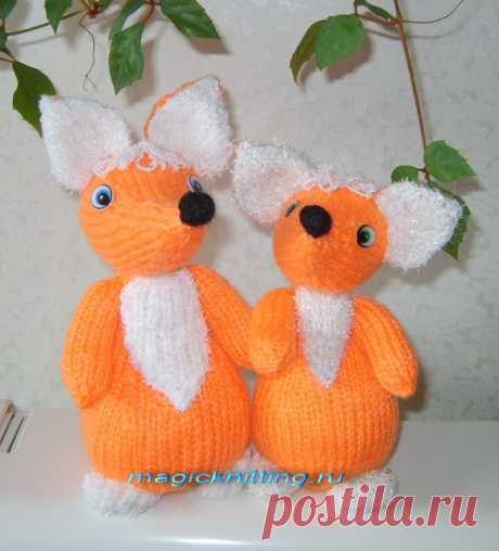 Дневник черной кошки