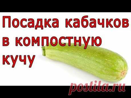 Огород без хлопот.