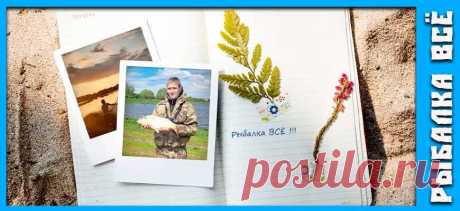 Ловля рыбы в июне в жаркую погоду: советы и рекомендации | Рыбалка Всё | Дзен