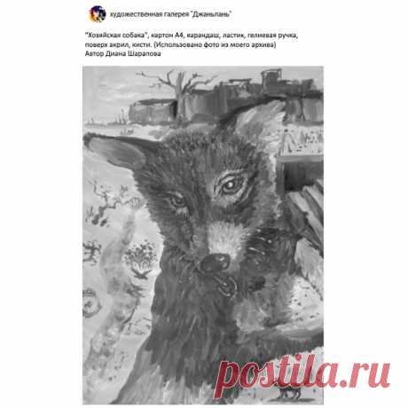 собаки