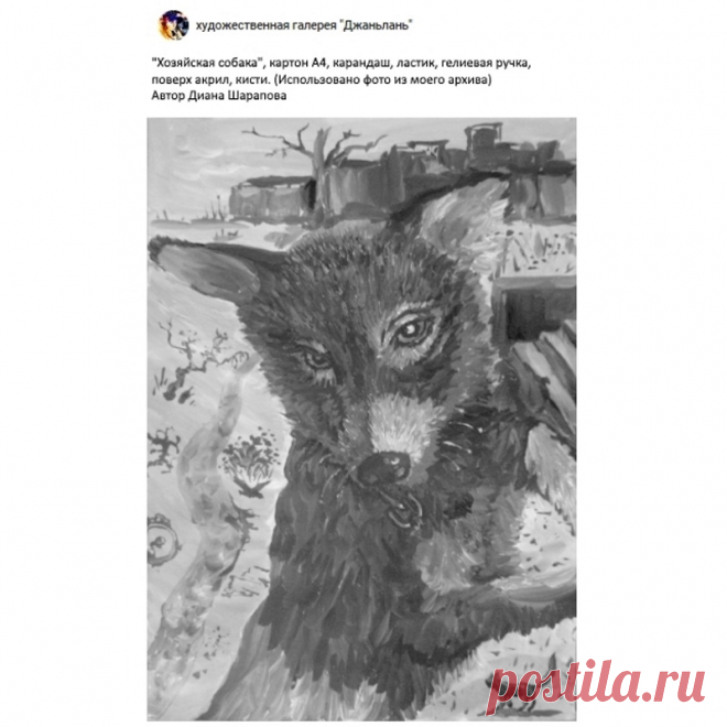 собаки