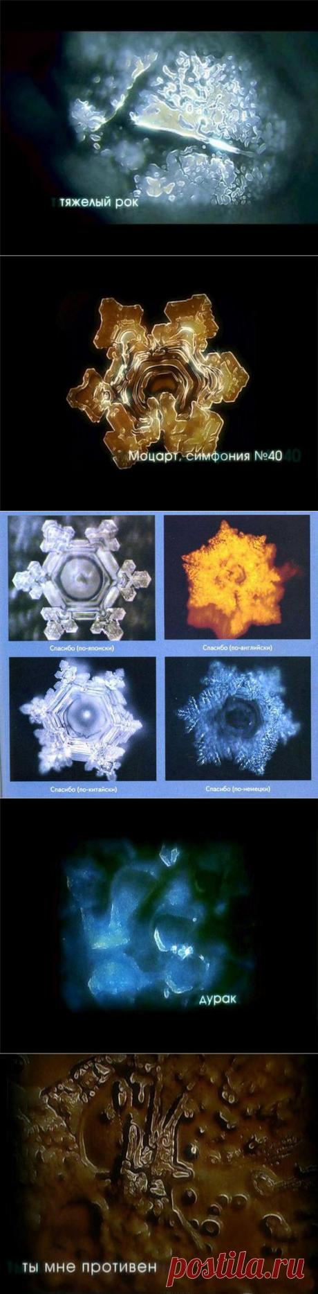 Вода нас тоже слушает! Об этом особенном свойстве воды ты даже не догадываешься.