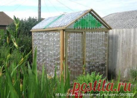 Теплица из пластиковых бутылок своими руками за смешную цену Пластиковые бутылки считаются мусором, но только не у дачников, которые умеют найти практичное применение всему. И, если ранее мы использовали бутылки для создания небольших парничков для проращивания рассады, то сегодня решили построить полноценную теплицу из них...