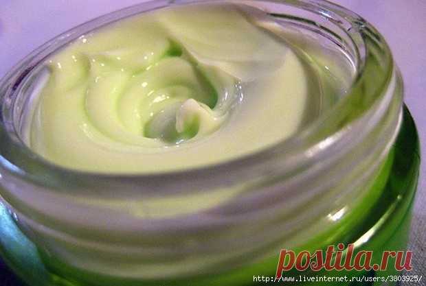 Лучшая домашняя мазь от остеохондроза - дешево и эффективно!