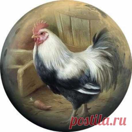 Диана Январева