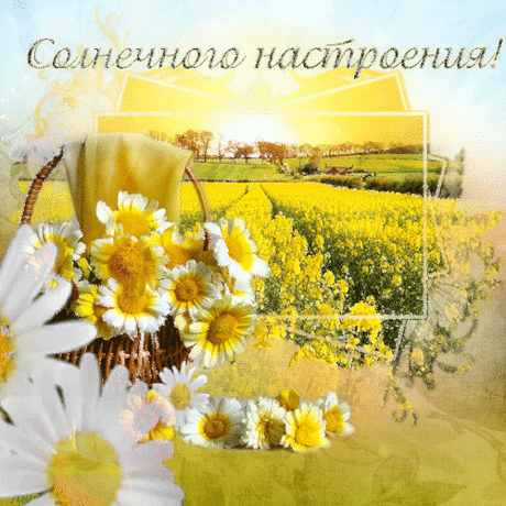 ✺ ✺ ✺ СОЛНЫШКО ОБНИМЕТ НАПОИТ ТЕПЛОМ ✺ ✺ ✺
