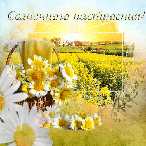 ✺ ✺ ✺ СОЛНЫШКО ОБНИМЕТ НАПОИТ ТЕПЛОМ ✺ ✺ ✺