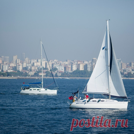 ⚓ Школа, где обучение превращается в захватывающее приключение
⛵ Опытные инструктора 🤩 Индивидуальный подход 💖 Приятные цены
💬 По всем интересующим вопросам 📧 info@sailskill.com 📞 +382 688 77656