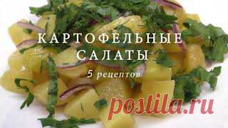 5 Рецептов салатов с картофелем /быстрые рецепты на праздничный стол / закуски из картофеля 1. Рецепт:картофельлукзеленый лукпетрушкаукропперец черный молотыйсоль2. Рецепт:картофельлукмаринованные огурцыяйцамайонезперец черный молотыйзеленьсоль3. Рецепт:картофельзеленый луколивкисыр 
