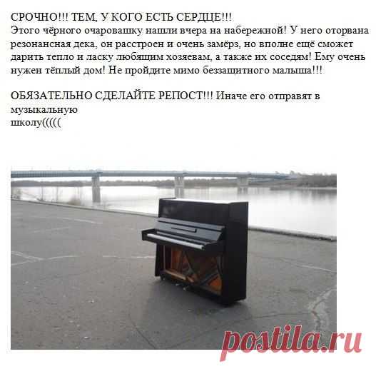ЮМОР +