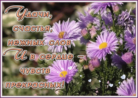 Мерцающая картинка с пожеланиями
