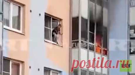 Спасение ребёнка из горящей квартиры в Санкт-Петербурге попало на видео. Спасение ребёнка из горящей квартиры в Санкт-Петербурге попало на видео: мальчик спрыгнул с третьего этажа на растянутое одеяло. Читать далее
