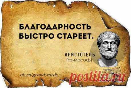 Благодарность быстро стареет.
