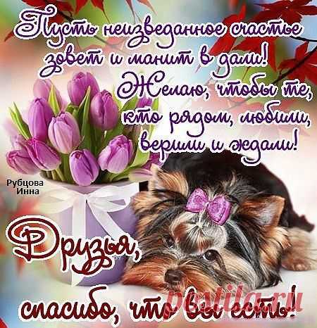 (5) Одноклассники