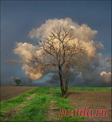 Фотографии на стене сообщества | 32 819 фотографий | ВКонтакте
