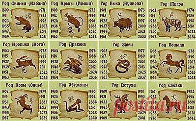 КИТАЙСКИЙ ГОРОСКОП ЭФИРНЫХ МАСЕЛ КРЫСА (1936,... - Женское здоровье: фитнес, красота, диеты.