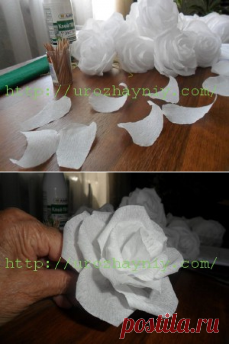 Как сделать розу из гофрированной бумаги | Урожайная дача, интернет журнал, все о даче