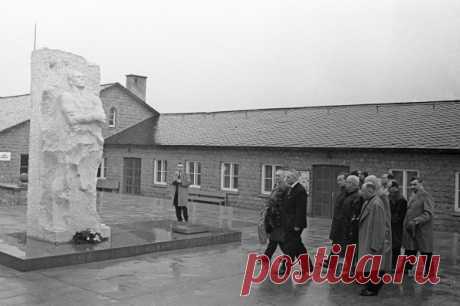 Несломленный. Забытый подвиг генерала Карбышева | История | Общество | Аргументы и Факты