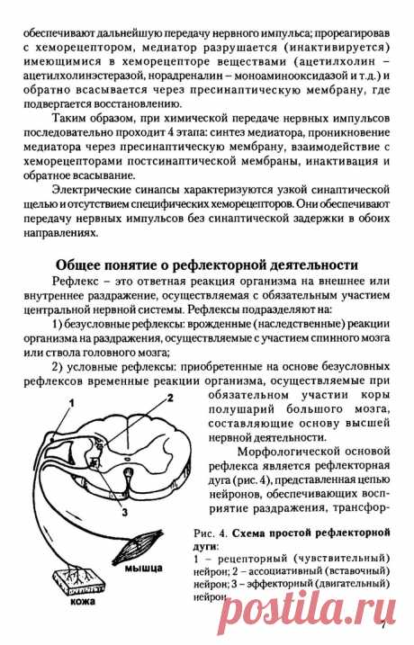 Q28df5Rdn3w.jpg (693×1080)
