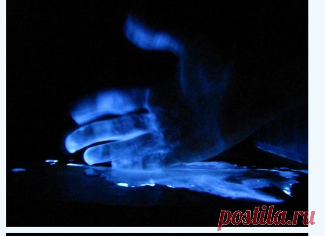 Химия и Химики № 3 2011. Химическое свечение (эксперименты с люминолом)