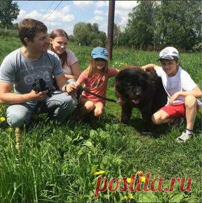 Новости