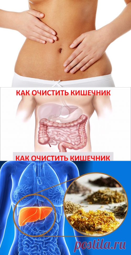 Рецепты чистки организма в домашних условиях