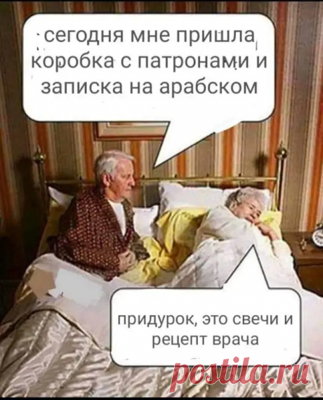 - Ух, какая у тебя собака! Зачем завела?... - Смехопанорама - медиаплатформа МирТесен