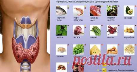 Ваша щитовидка скажет «спасибо» за употребление этих продуктов! Кликайте на фото, чтобы прочитать ⤴
