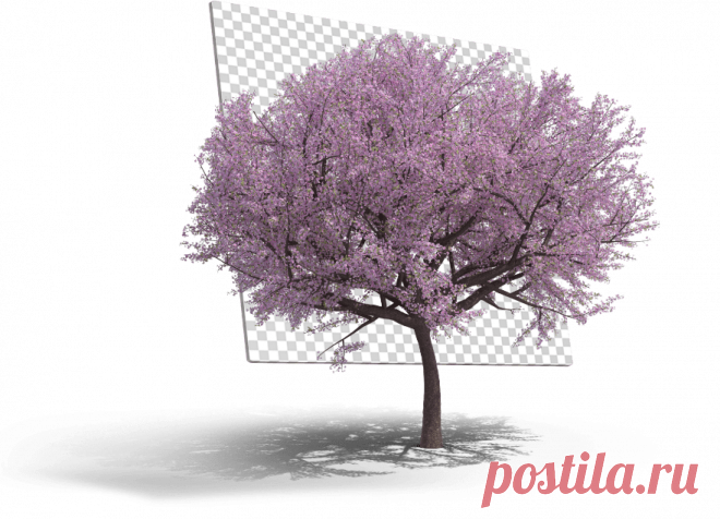 PixelSquid: 3D Content for Graphic Designers & Photoshop