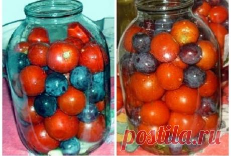 Как приготовить рецепт приготовления на зиму помидор с синими сливами. - рецепт, ингредиенты и фотографии