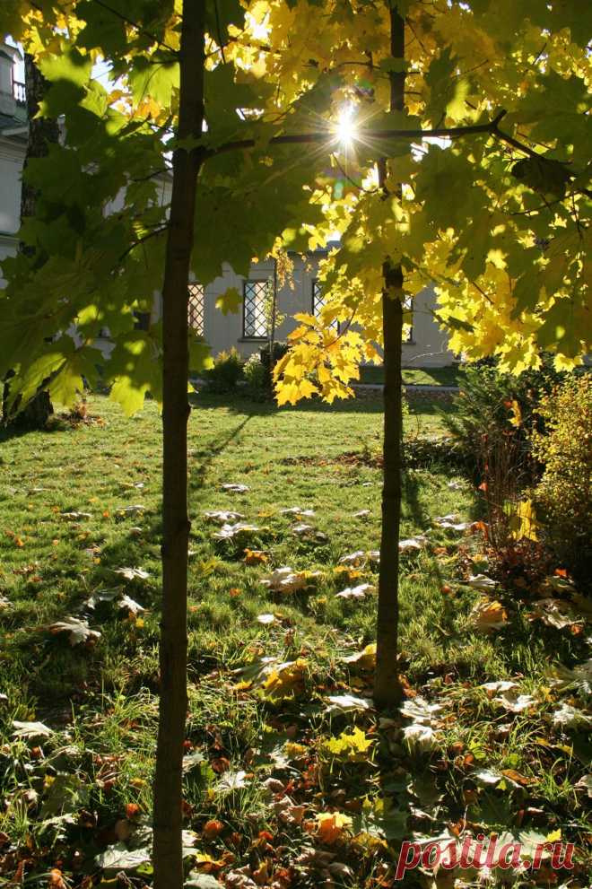 Середниково, октябрь 2010 г.