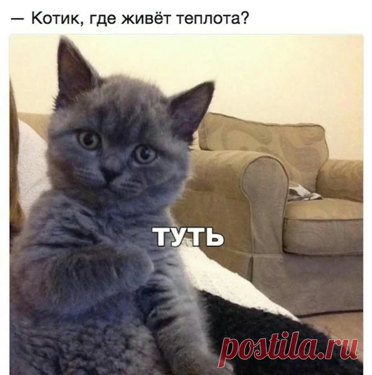 Генка Букин - Google+