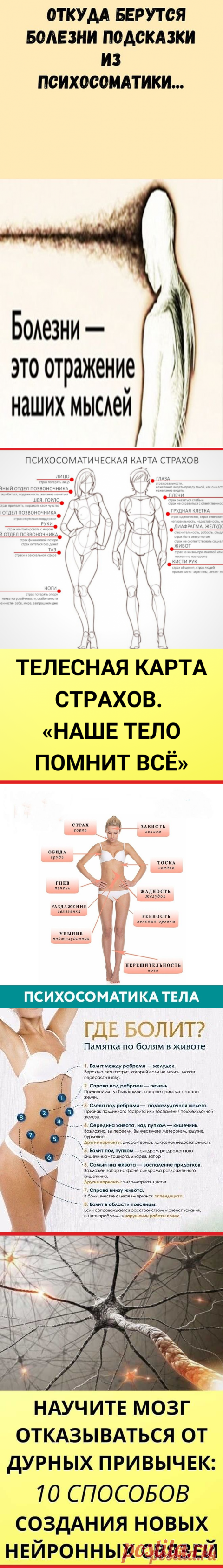 (622) Pinterest