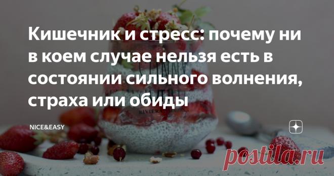 Кишечник и стресс: почему ни в коем случае нельзя есть в состоянии сильного волнения, страха или обиды Всем привет! Мы с вами очень много говорим о том, какой рацион помогает кишечнику, как можно облегчить его участь, более осознанно подходя к планированию питания и уделяя внимание каждому из продуктов. Но на кишечник действует также и множество непищевых факторов, и если это игнорировать, то оптимизация меню может не помочь. Согласно статистике, хронические желудочно-кише...