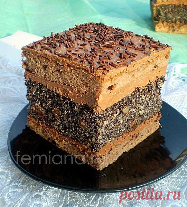 Маковый торт с шоколадным кремом-глазурью | FEMIANA