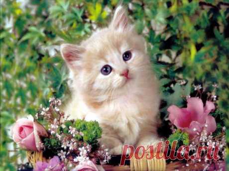 Доброго утра и удачного дня :)
https://ok.ru/app/card
СОХРАНИТЬУстановить себе