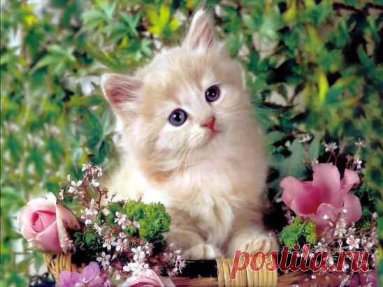 Доброго утра и удачного дня :)
http://ok.ru/app/card
СОХРАНИТЬУстановить себе