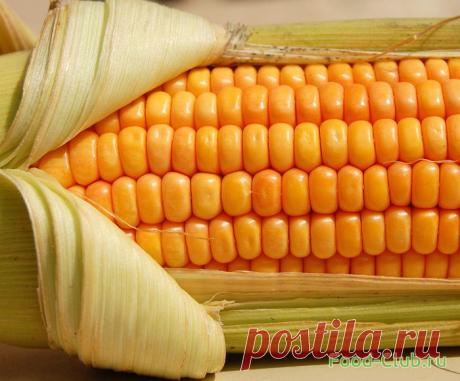 Как правильно варить кукурузу / Полезные советы / Кулинарные рецепты - Фуд-клаб.ру
