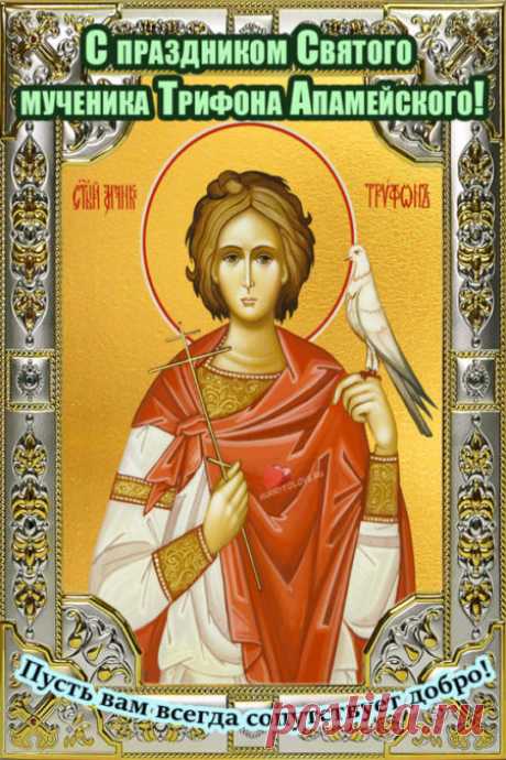 Картинки на Трифонов день: открытки с надписями на 14 февраля 2024