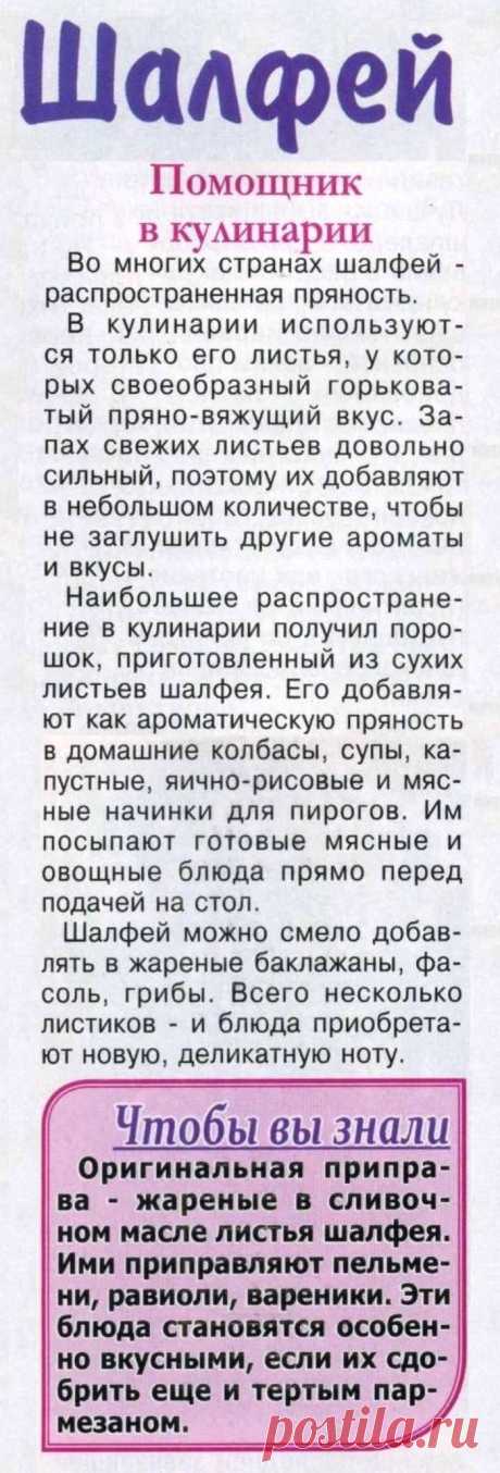 Шалфей - помощник в кулинарии