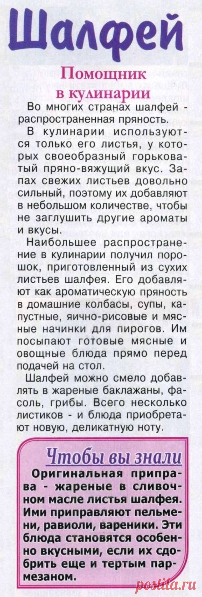 Шалфей - помощник в кулинарии